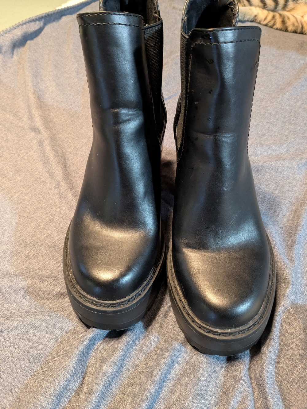 Madden Girl Black Women's Chelsea Platform Boots. Size 6